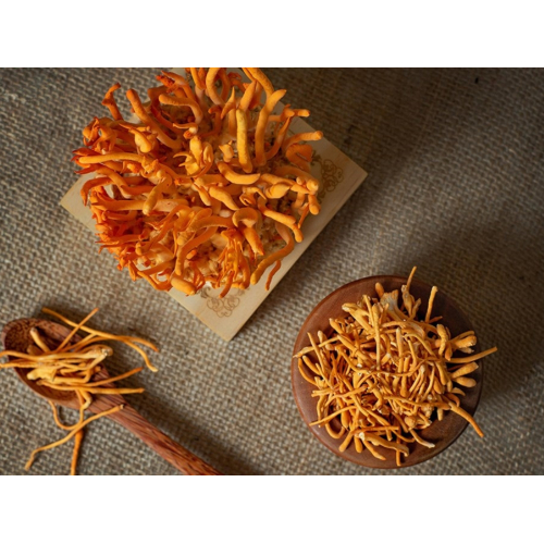 Đông trùng hạ thảo là gì?